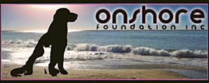 On Shore Foundation logo